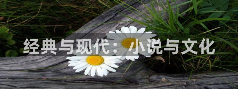 阿宾正传1—72与钰慧趣笔阁txt：经典与现代：小说与文化