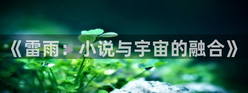 阿宾正传趣笔阁庆仔：《雷雨：小说与宇宙的融合》