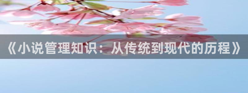 陈浩叶倾城趣笔阁：《小说管理知识：从传统到现代的历程》