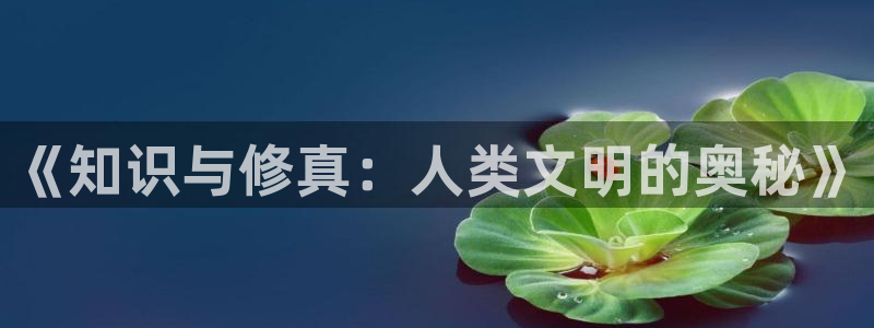 斗破苍穹小说趣笔阁：《知识与修真：人类文明的奥秘》