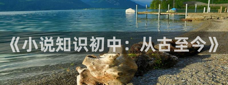 阿宾正传趣笔阁庆仔：《小说知识初中：从古至今》